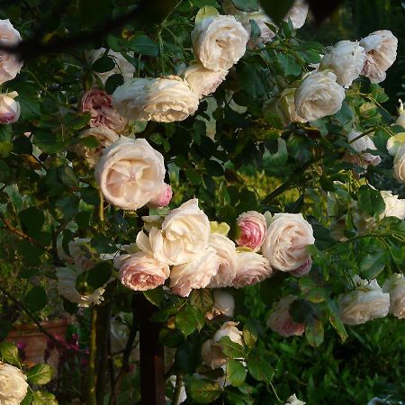 Lou Amourie Roussillon  Ngoại thất bức ảnh